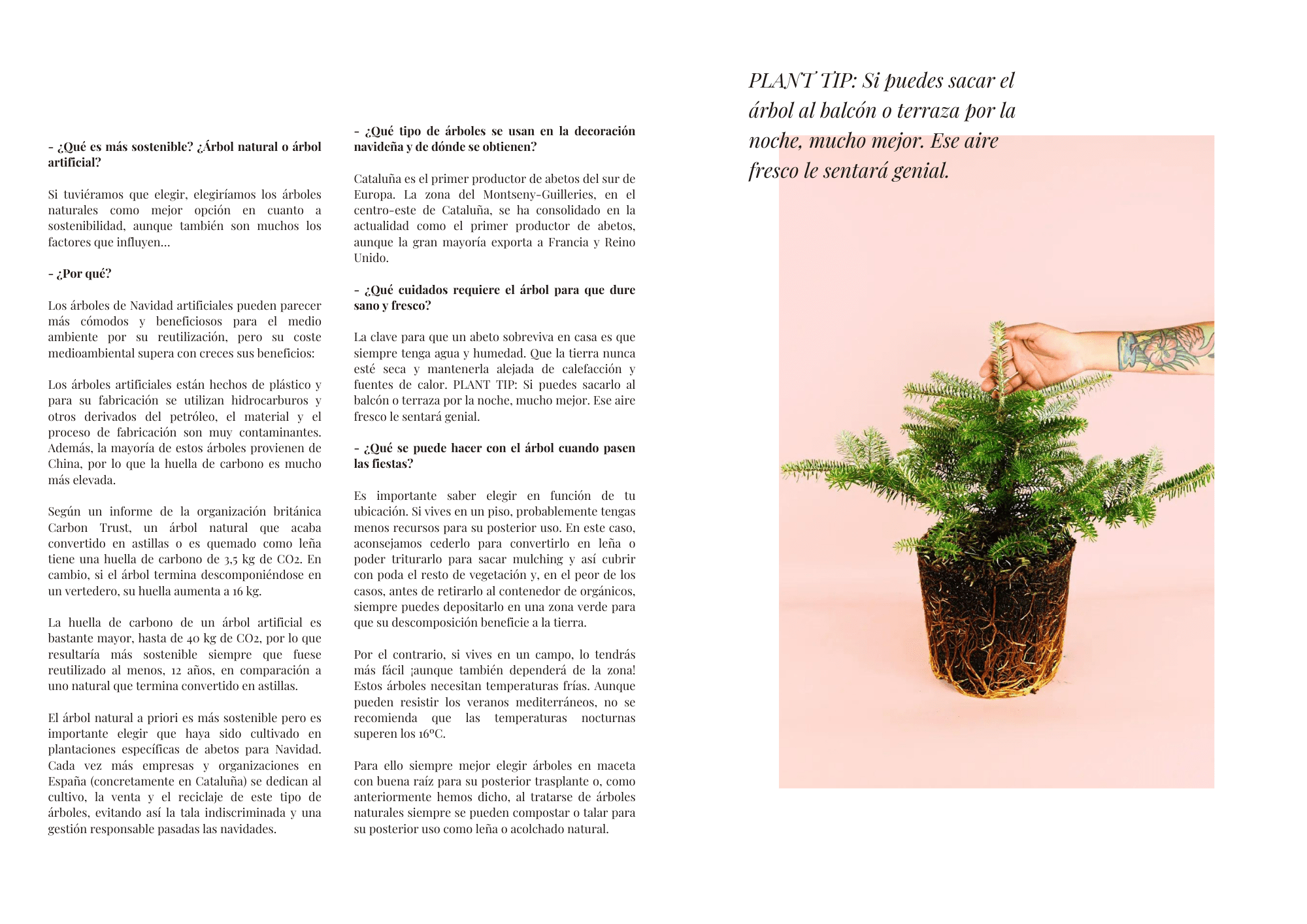 EBOM MAGAZINE n1 (digital) - Image 3